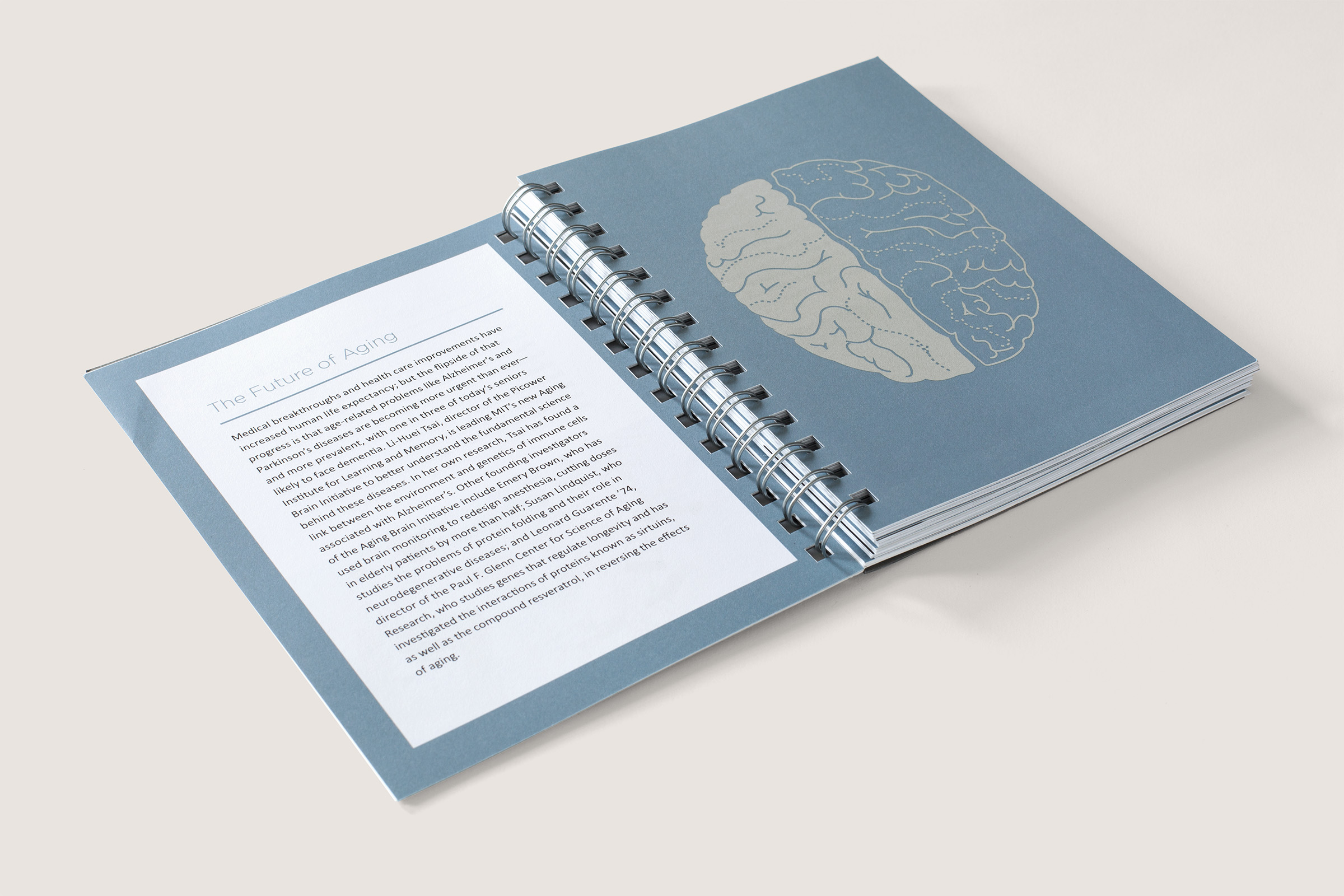 DM-102-389 DM-102-389